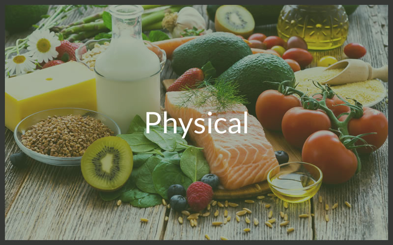 Physical and Nutritional Blog